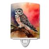 NEW Northern Hawk Owl Ceramic Night Light Compact, UL-Certified, Ideal for Bedroom, Bathroom, Nursery, Hallway, Kitchen, 6x4x3, Multicolor