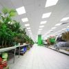 2x2 ft 4400LM 40W 5000K LED Dimmable Flat Panel Light for Home Office